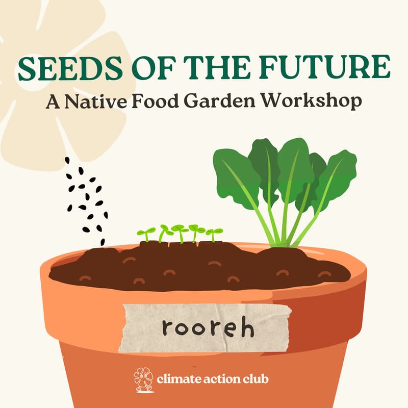Cover Image for Seeds of the Future: A Native Food Garden Workshop