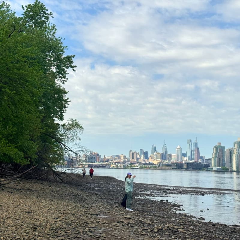 Cover Image for Green Philly Volunteer Cleanup at Petty Island