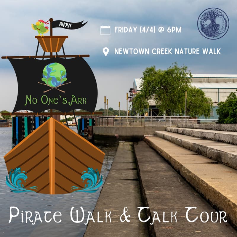 Cover Image for 🏴☠️ Pirate Walk for Idealists