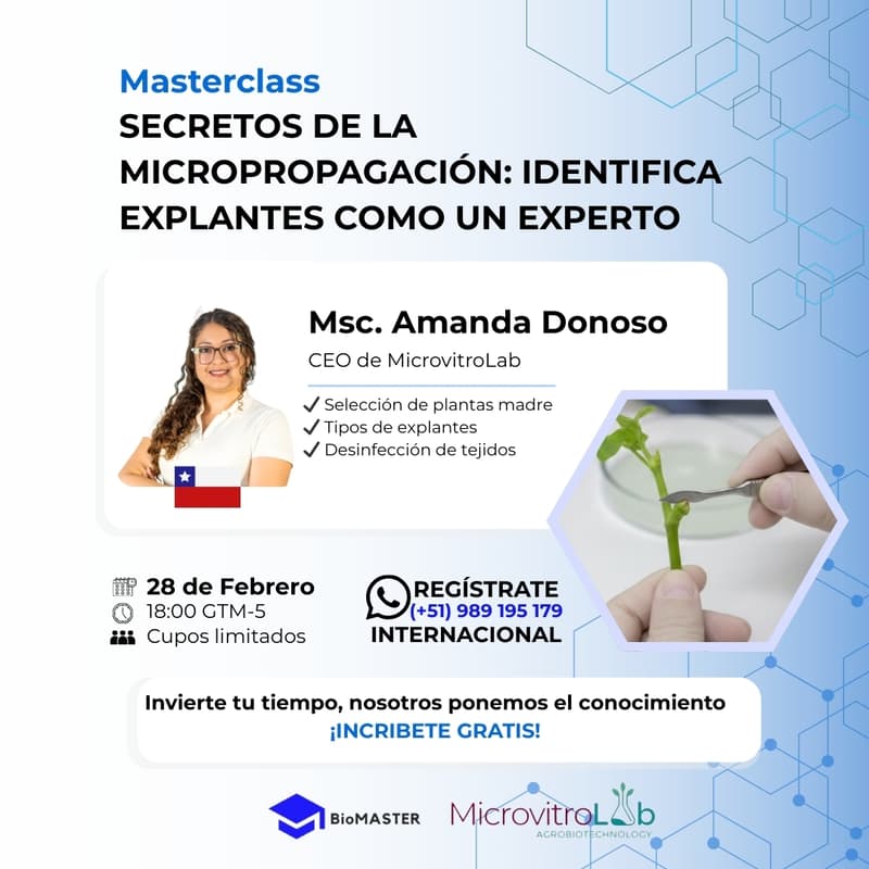 Cover Image for Secretos de la Micropropagación