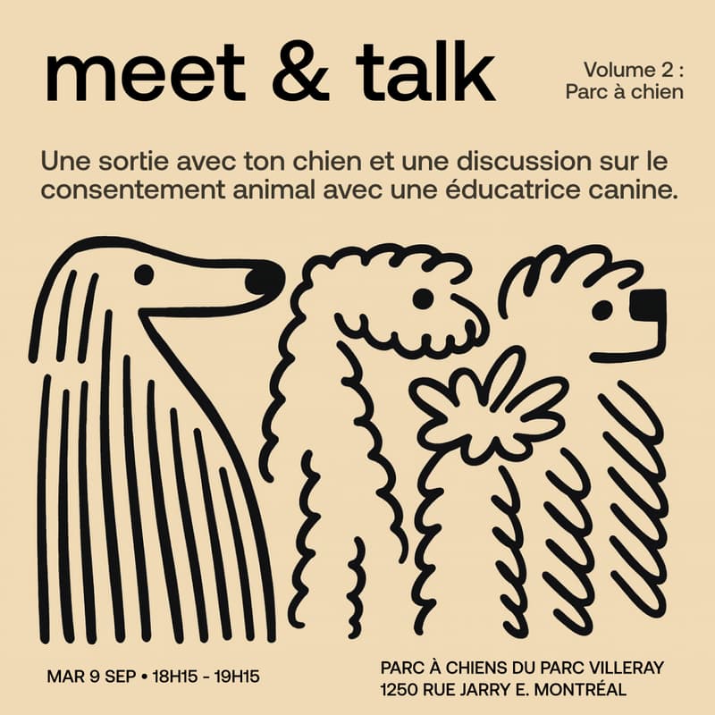 Cover Image for Meet & Talk vol. 2 - Parc à chien