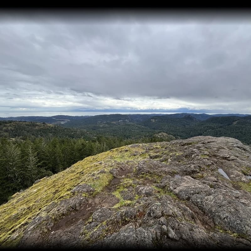 Cover Image for Mount Braden Loop