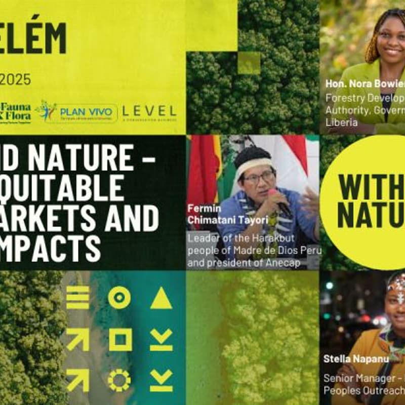 Imagem de capa para Shaping equitable carbon markets and durable impacts