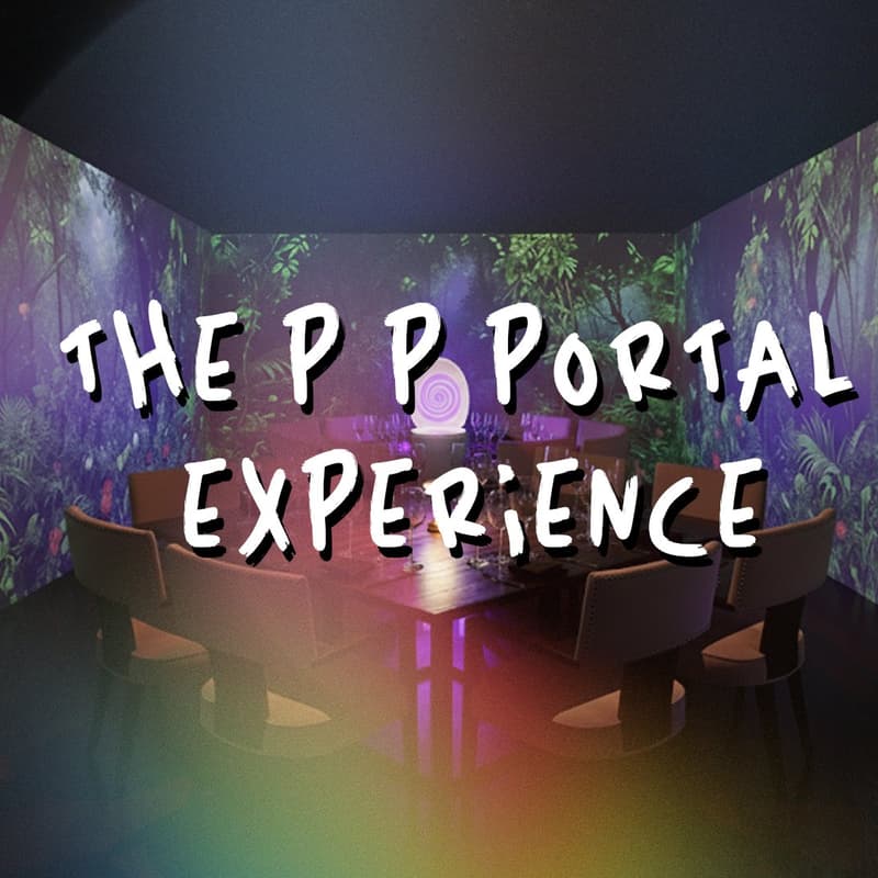 Cover Image for The P P Portal Experience: Number Two