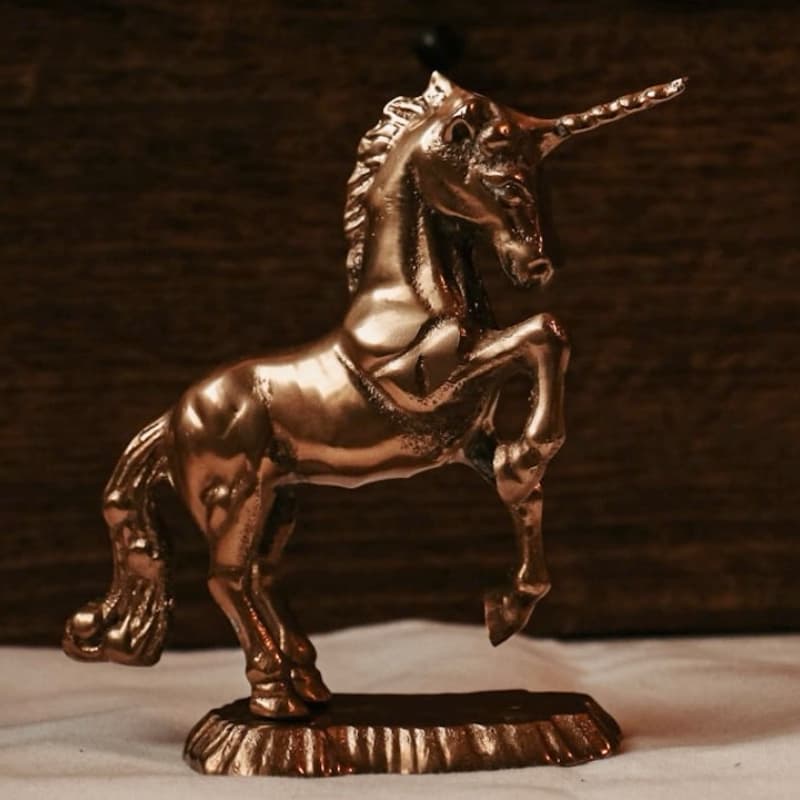 Cover Image for Invest In The Next Unicorn