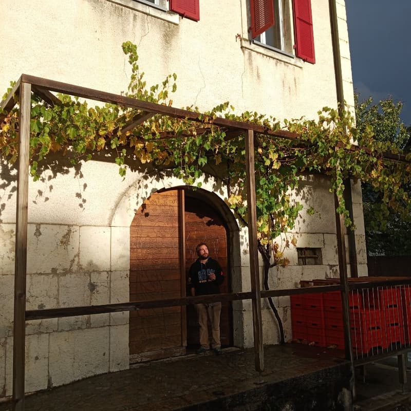 Cover Image for Winery Visit: Cave Saint-Germain in Moutier, Canton Bern