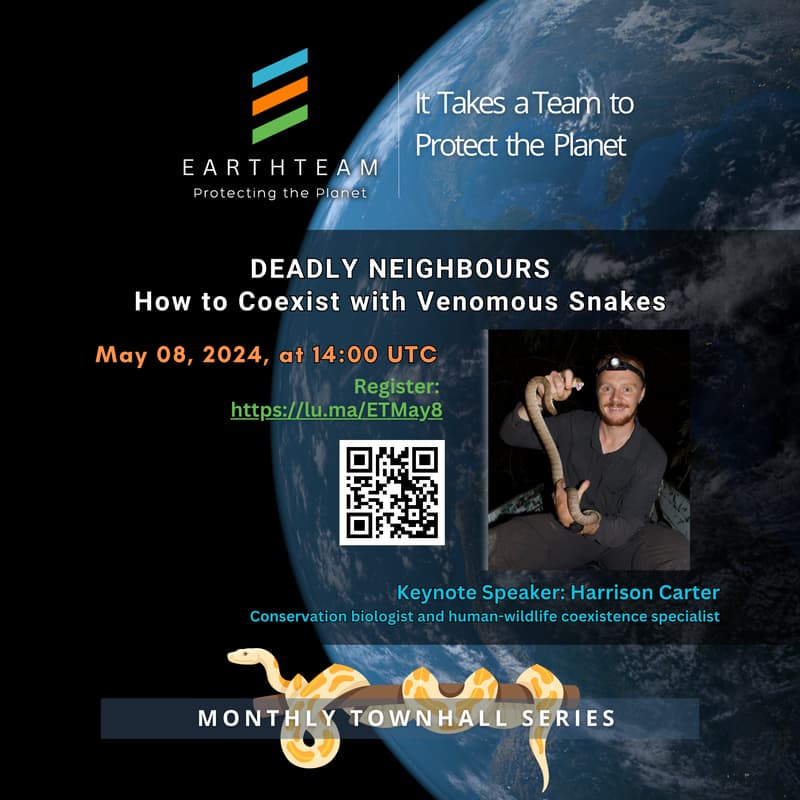 Cover Image for Deadly Neighbours: How to coexist with venomous snakes