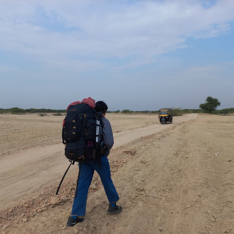 Cover Image for Stories from a desert river