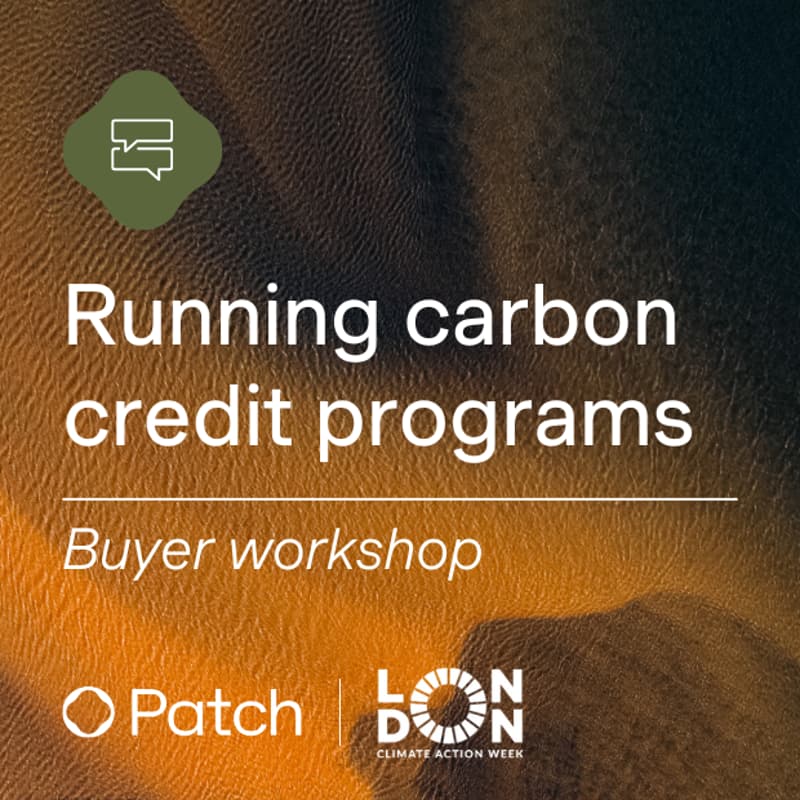 Cover Image for Running carbon credit programs: Best practices workshop for buyers