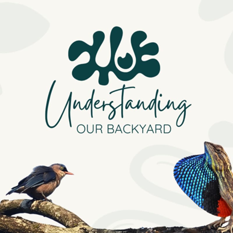 Cover Image for Understanding Our Backyard: Rivers of the Western Ghats | The Big Day