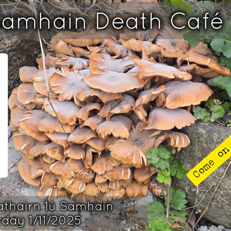 Cover Image for Samhain Death Café