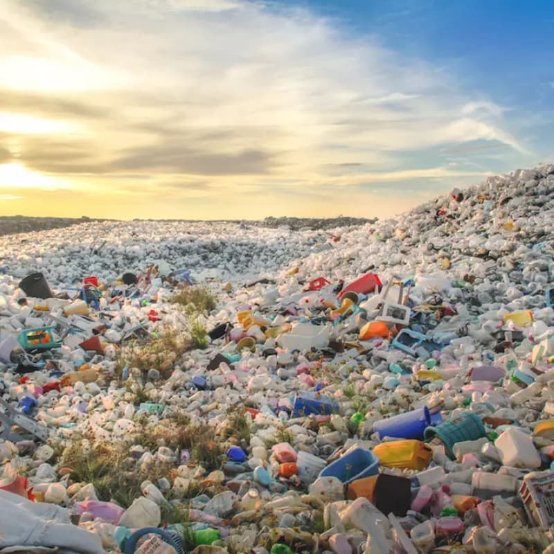Cover Image for From Waste to Wealth: High-Impact Plastic Waste Innovation for a Circular Economy