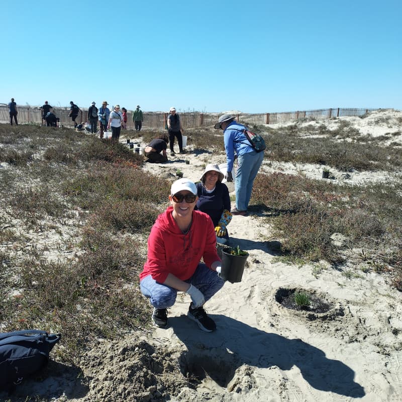 Cover Image for San Diego River Mouth: Resilience and Restoration