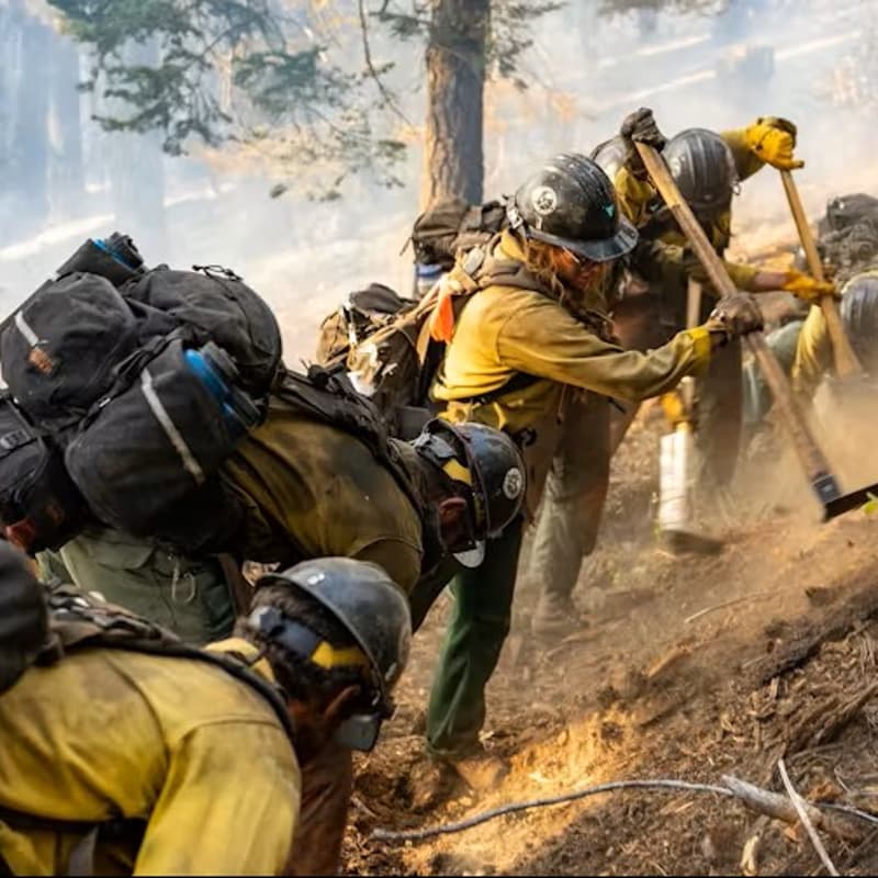 Cover Image for Well-Being for Firefighters