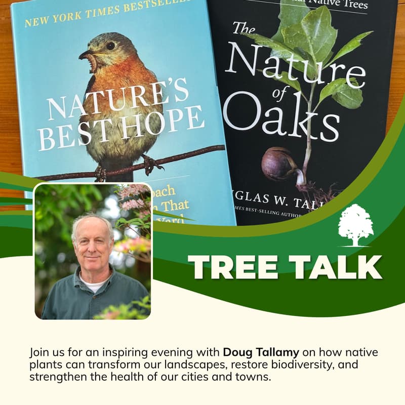 Cover Image for Nature’s Best Hope: The Power of Native Plants