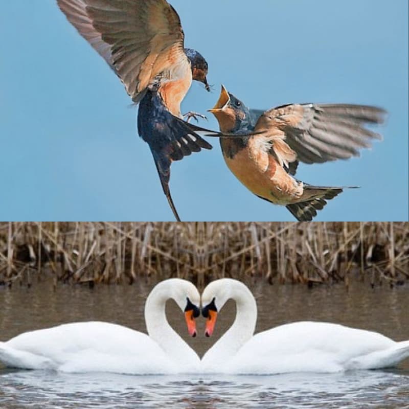 Cover Image for How to Fight to Win...The Relationship!