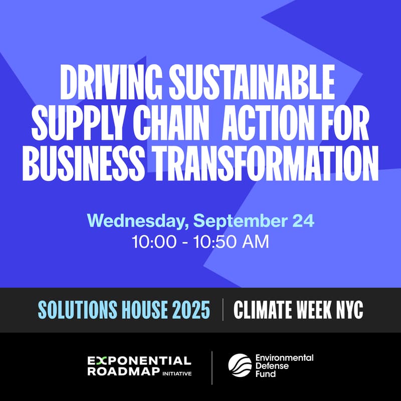 Cover Image for Driving Sustainable Supply Chain Action for Business Transformation
