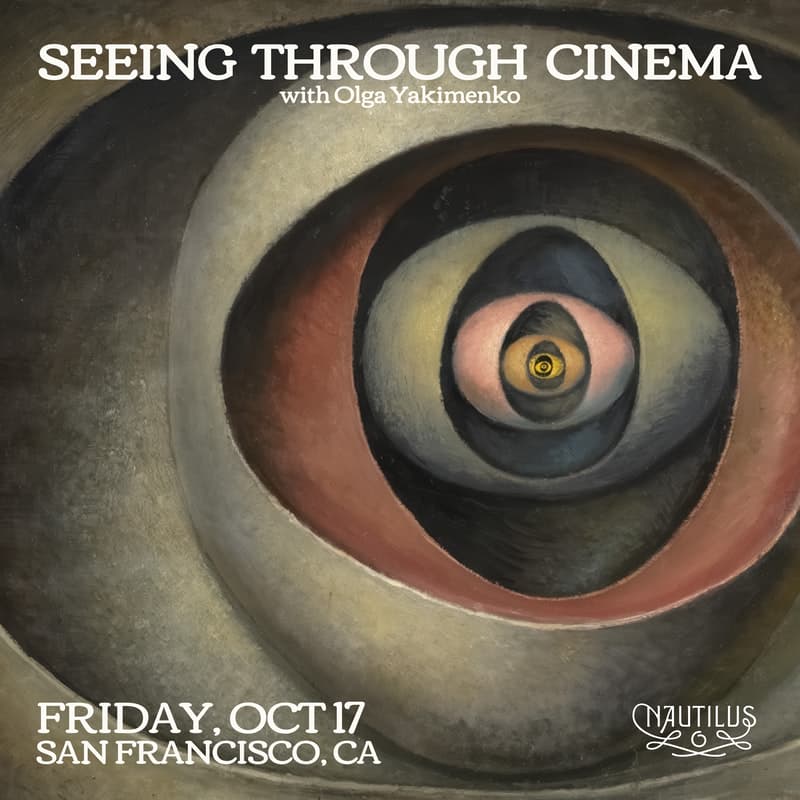 Cover Image for Seeing Through Cinema: Perception, Illusion, and the Science of Film