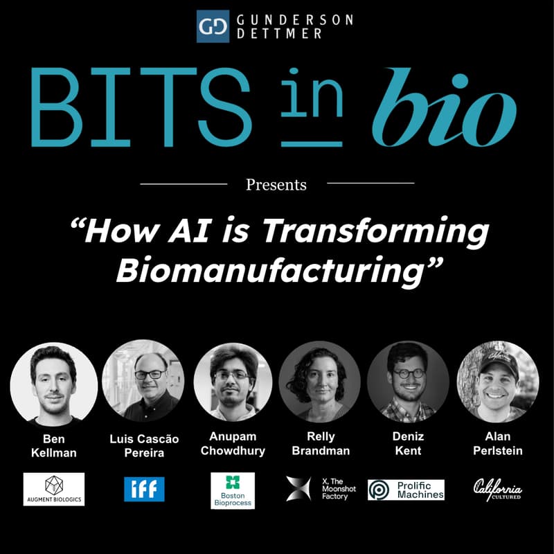 Cover Image for How AI is Transforming Biomanufacturing