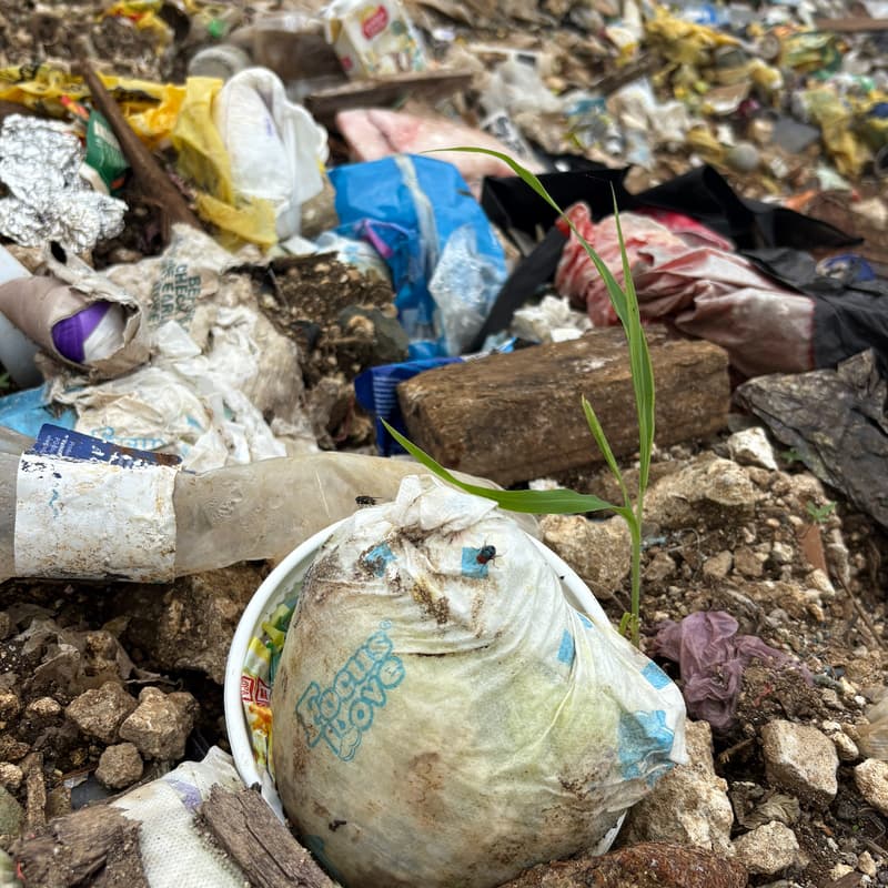 Cover Image for Stopping plastic waste at source: a new financial instrument that proves it’s possible.