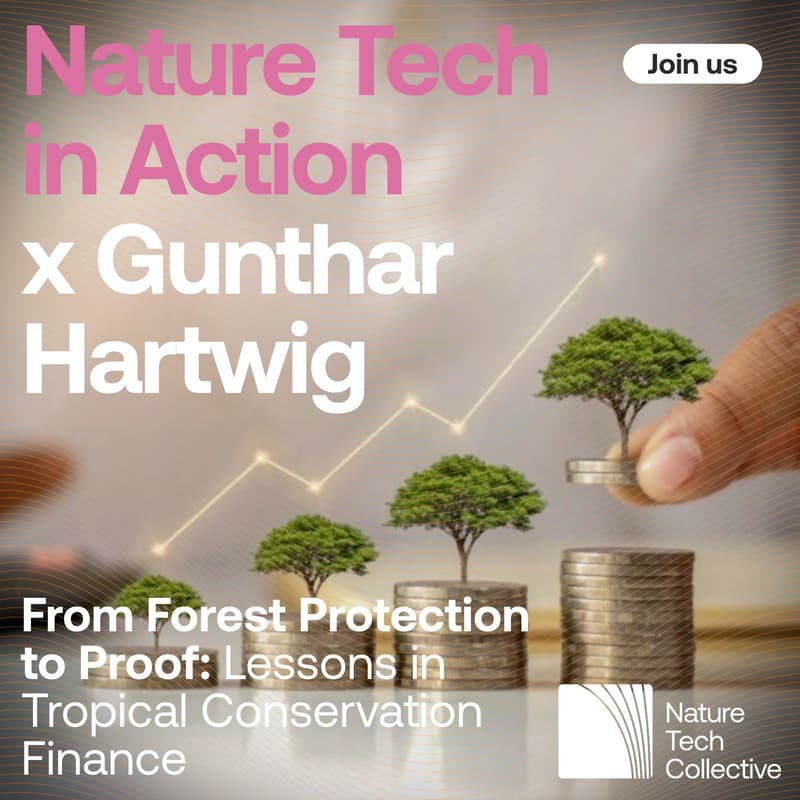 Cover Image for From Forest Protection to Proof: Lessons in Tropical Conservation Finance