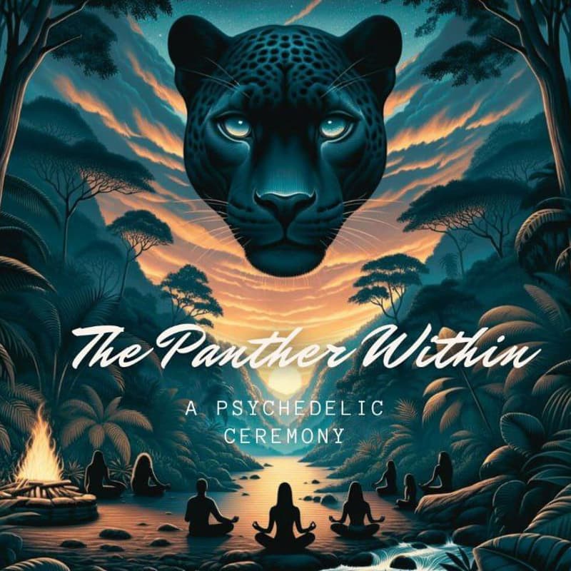 Cover Image for The Panther Within Ceremony