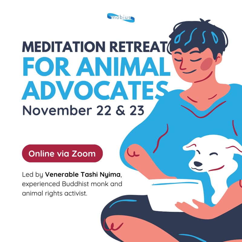 Cover Image for Animal Advocates Online Meditation Retreat: Managing Emotions For Sustainable Activism, November 22 & 23
