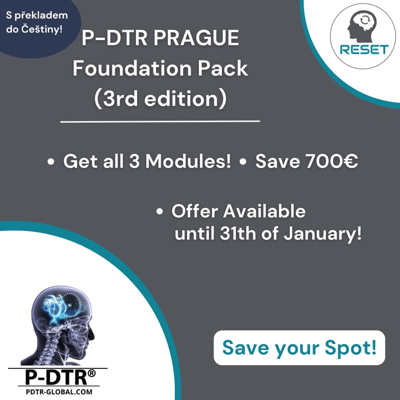Cover Image for P-DTR Foundation Pack (All Modules) – 2026 edition – S překladem do Češtiny!