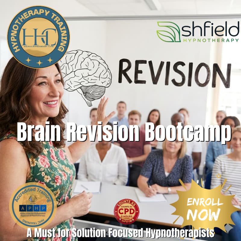 Cover Image for Brain Revision Bootcamp