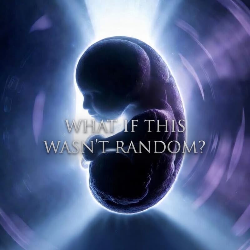 Cover Image for What AI Can Do for Fertility and IVF