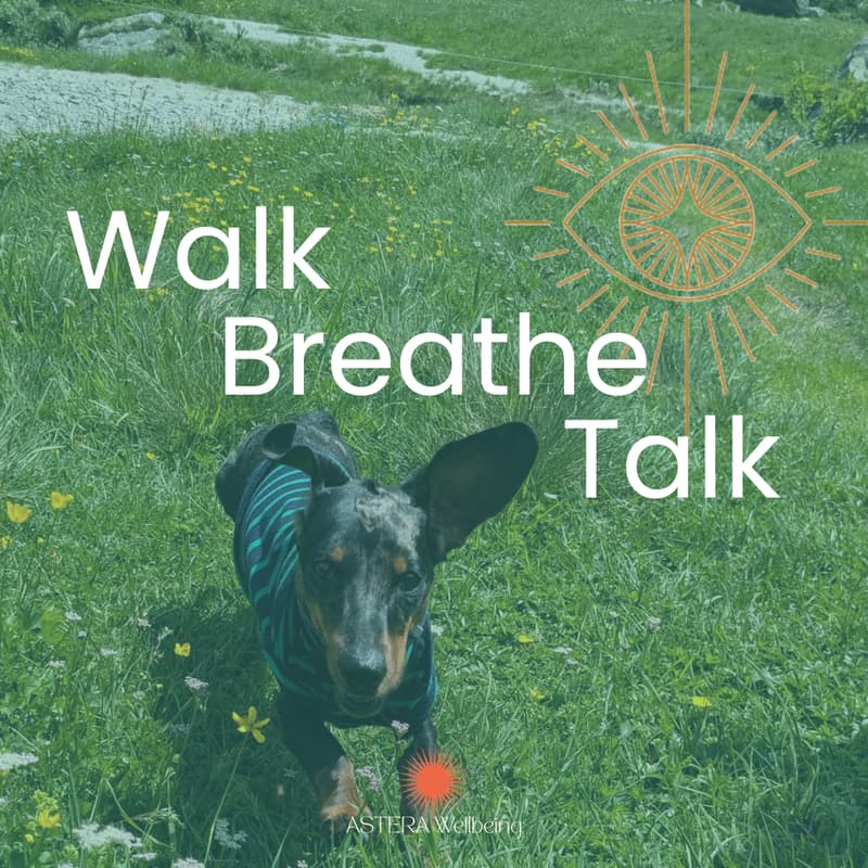Cover Image for ASTERA Seasonal Nature Walks - Healing Woods