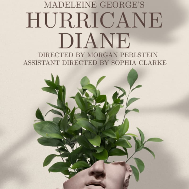 Cover Image for Cog Dog Theater Troupe Presents: Hurricane Diane