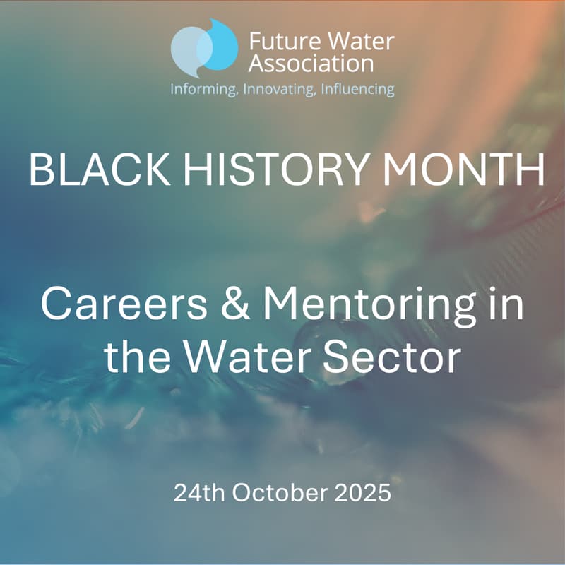 Cover Image for BLACK HISTORY MONTH - Opportunities for All: Apprenticeships, Graduates and Future Talent