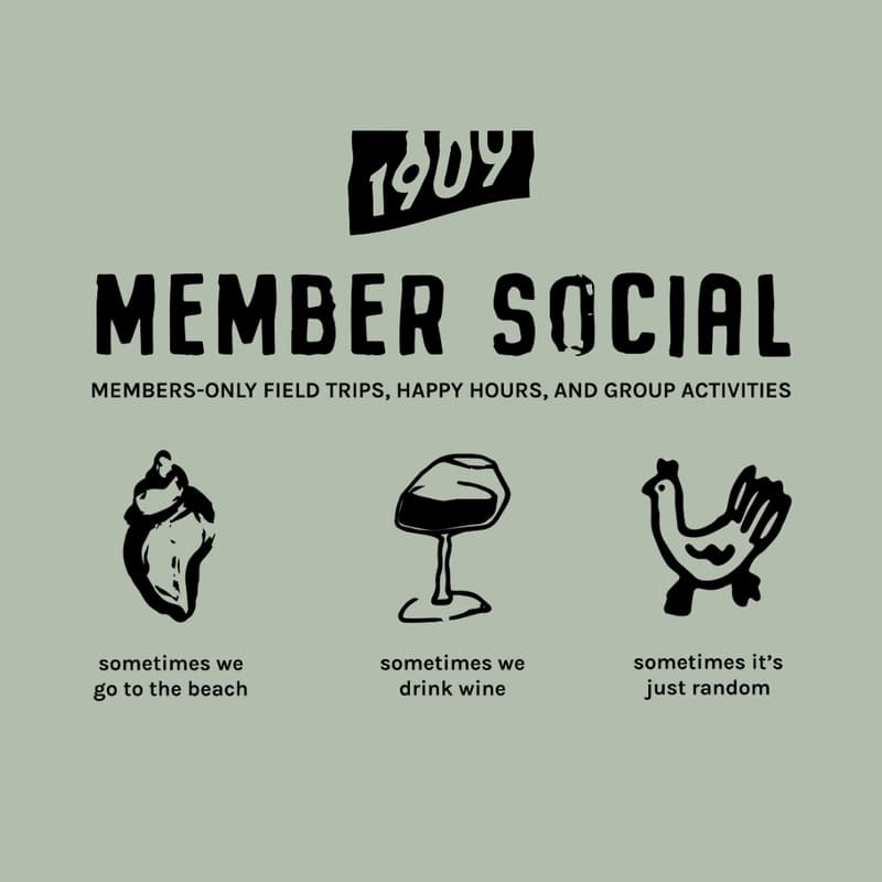 Cover Image for Summer Member Social