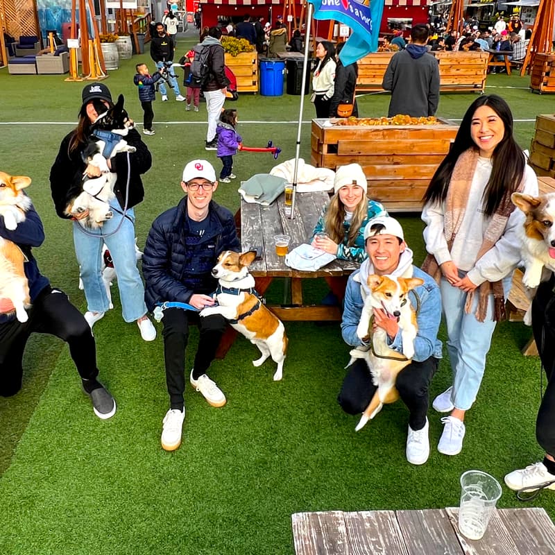 Cover Image for First Fridays July Yappy Hour