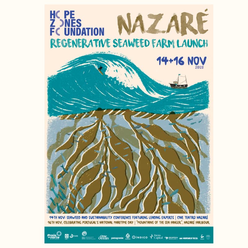 Cover Image for Nazaré Regenerative Seaweed Farm Launch - Community Celebration