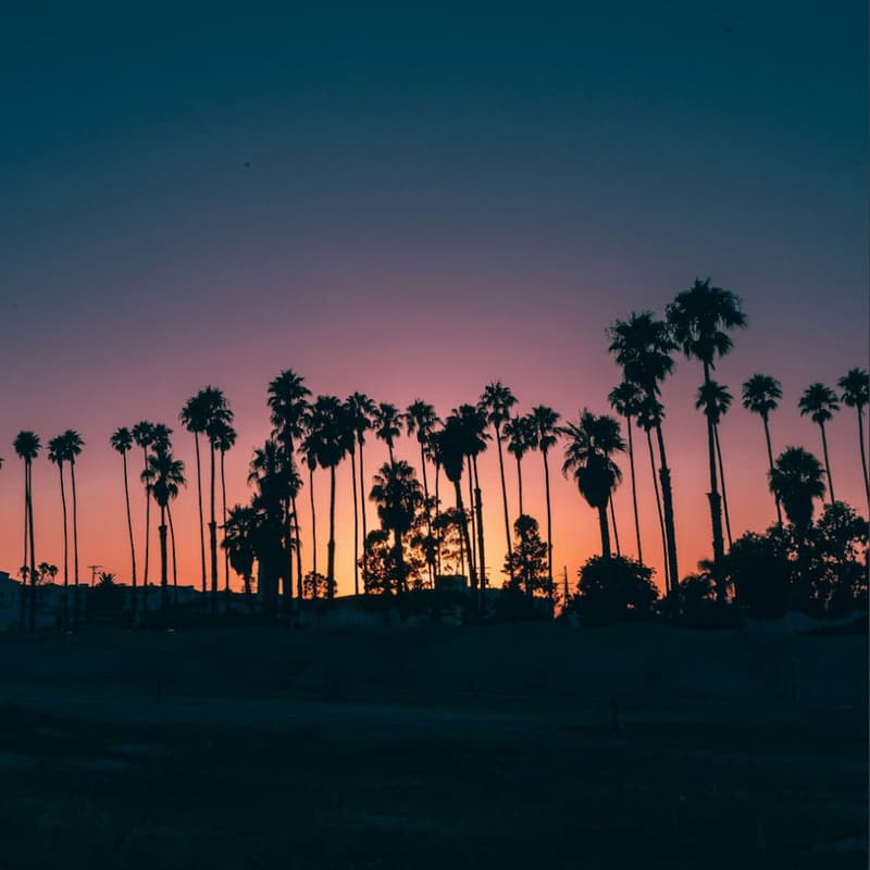 Cover Image for 🌅 Pilates Mat: Latin Friday