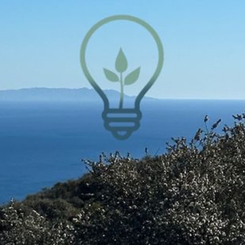 Cover Image for Dreamore Picnic: New Year Cheers