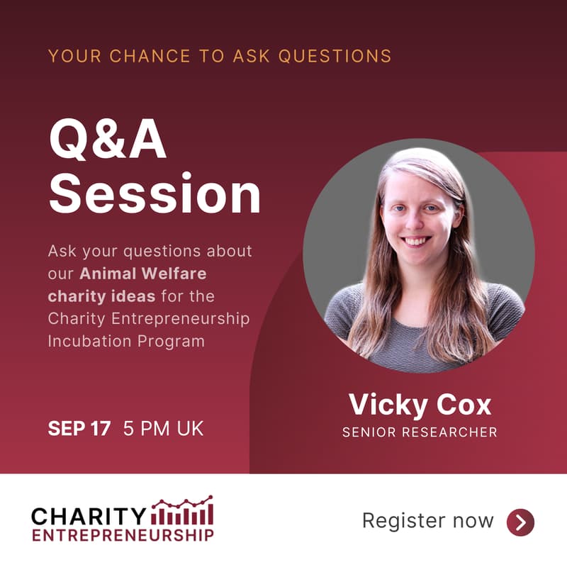 Cover Image for Q&A Session: Animal Welfare Charity Ideas