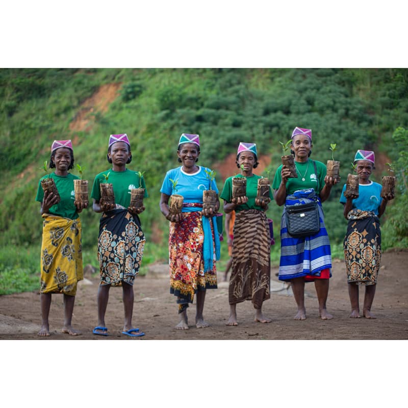 Cover Image for Scaling Without Selling Out