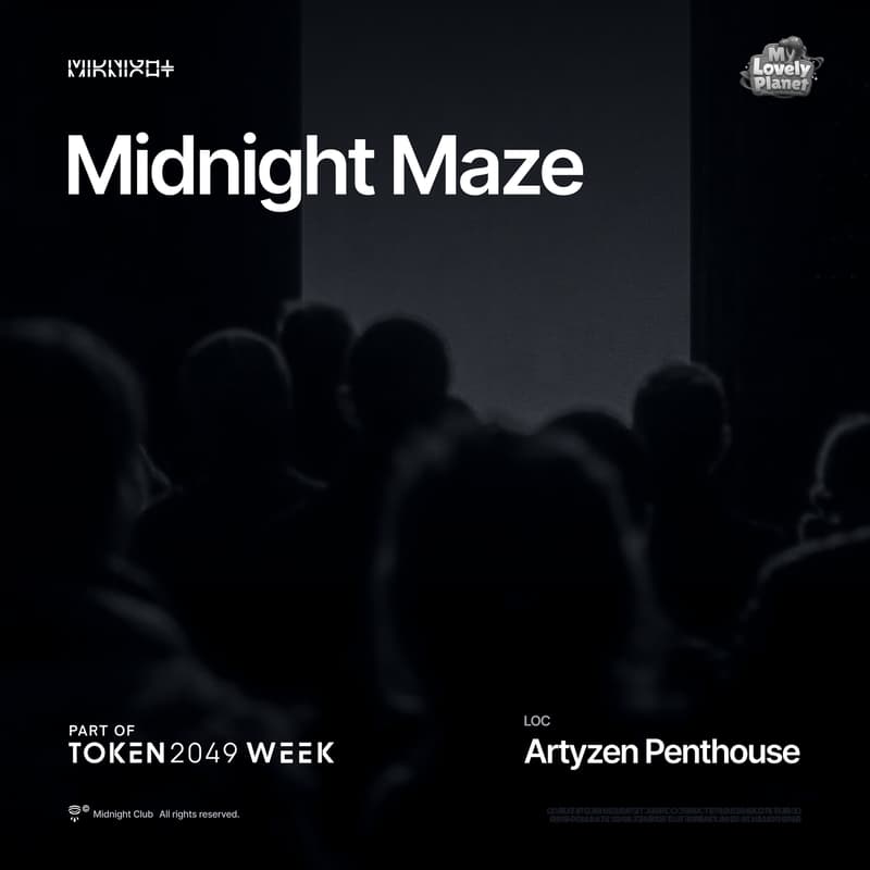 Cover Image for Midnight Maze