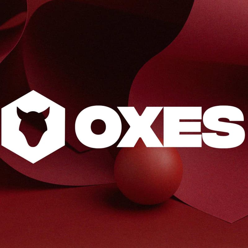 Cover Image for ⭕️xify Crypto Bootcamp