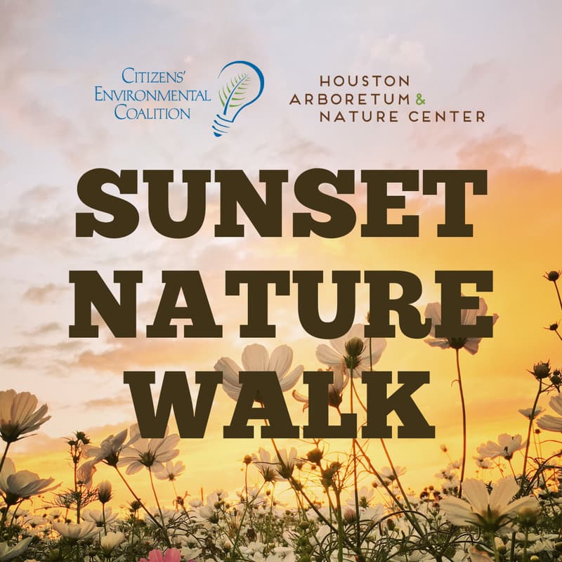 Cover Image for Sunset Nature Walk
