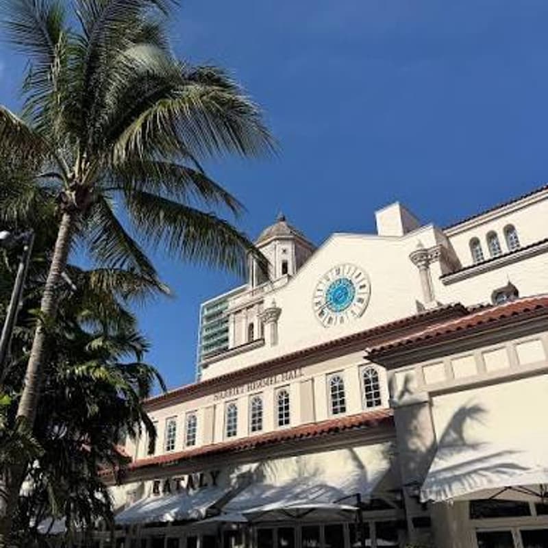 Cover Image for Conscious Palm Beach IRL