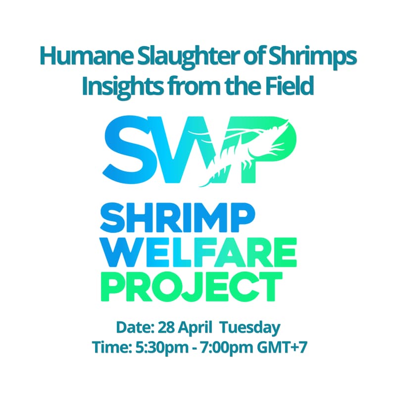 Cover Image for Online Event: Humane Slaughter of Shrimps - Insights from the Field