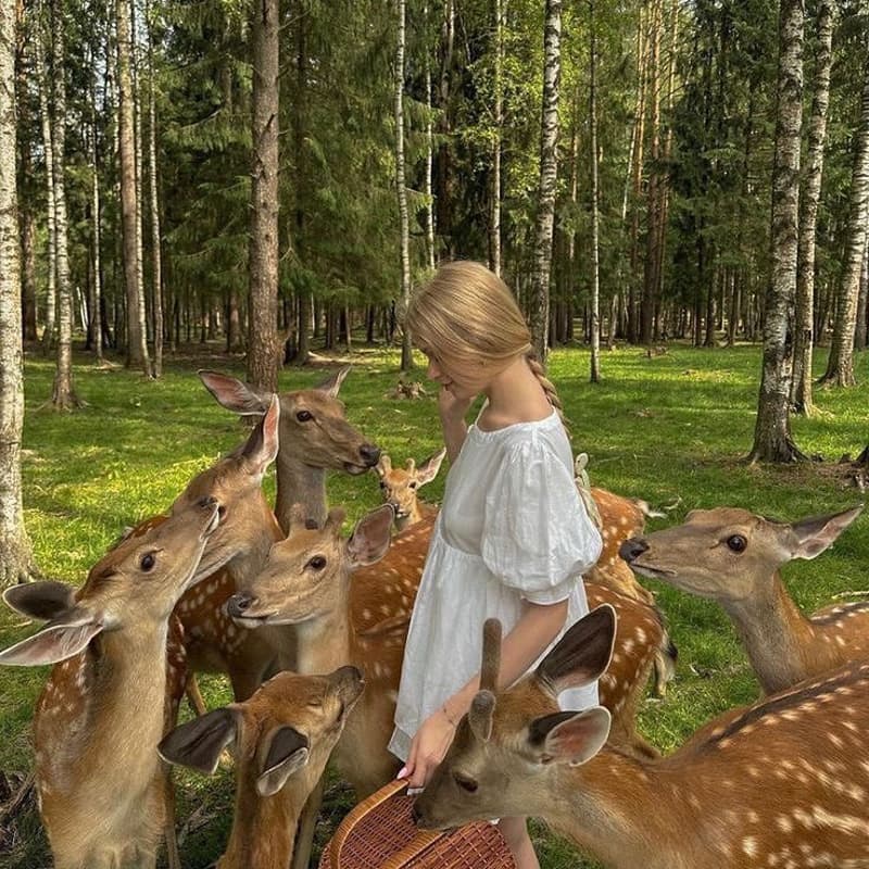Cover Image for Picnic & Deer Watching in Richmond Park