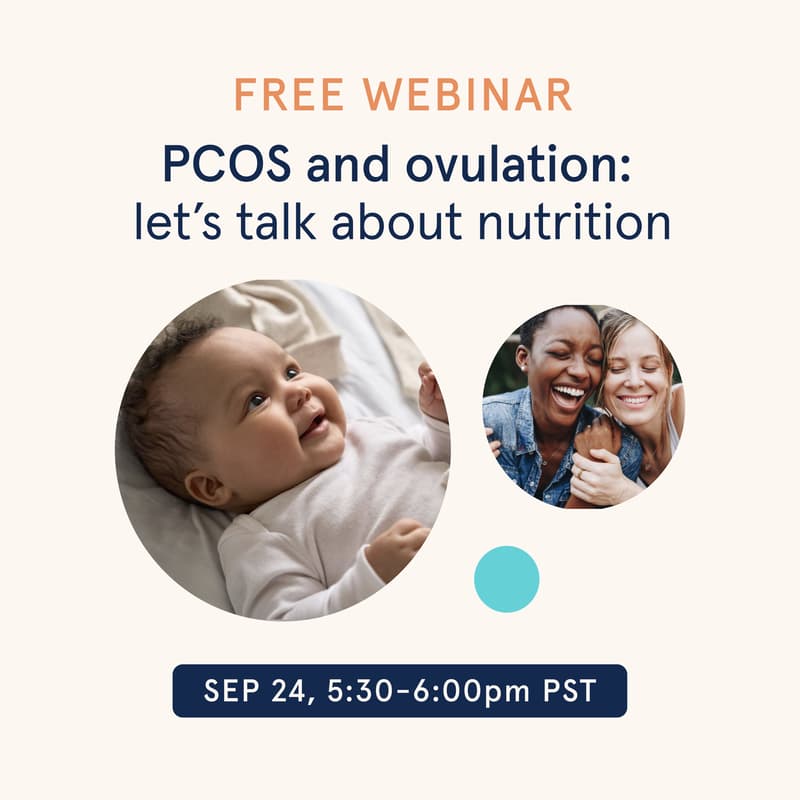 Cover Image for PCOS and ovulation: let’s talk about nutrition