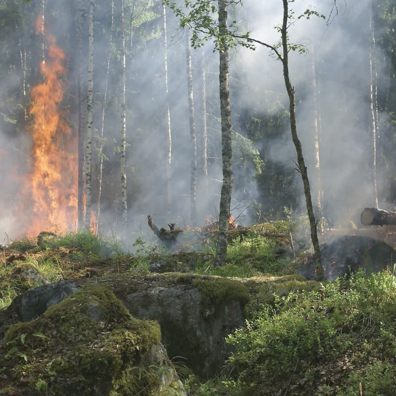 Cover Image for Well-Being for Firefighters & Frontline Workers