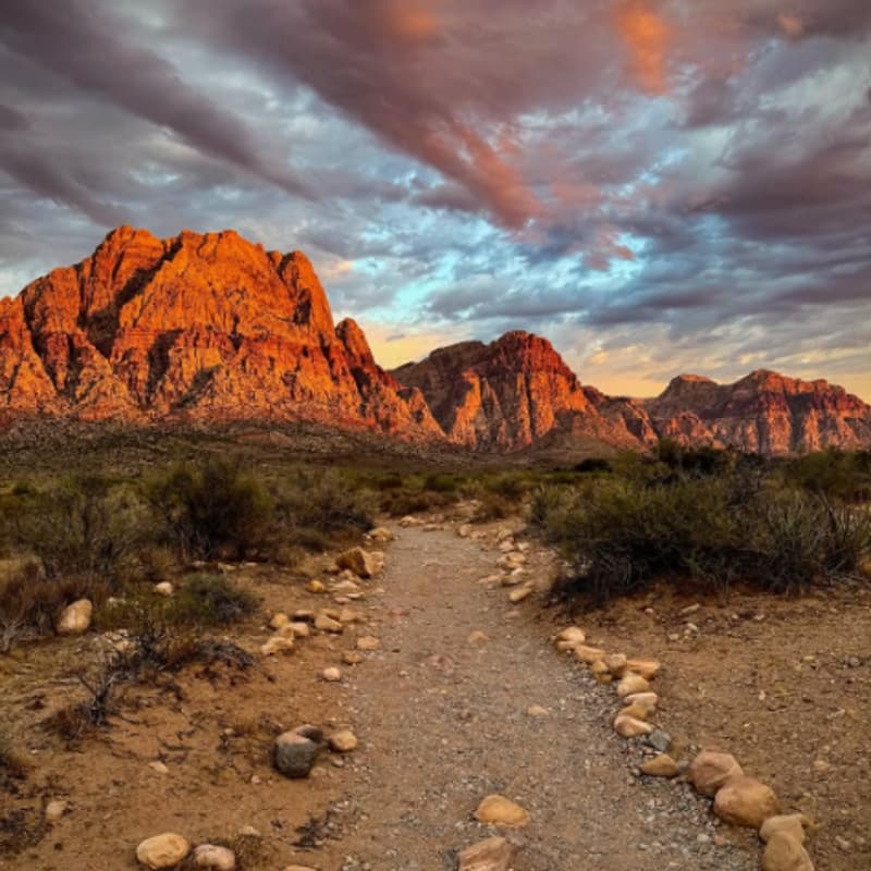 Cover Image for Ledger Lines & Canyon Climbs - Morning Red Rock Canyon Hike