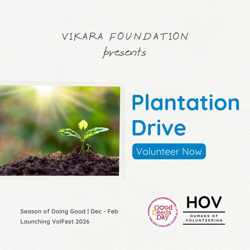 Cover Image for Plantation Drive